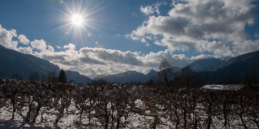 12_gaestehaus_florian_winter 12_gaestehaus_florian_winter